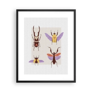 Poster in einem schwarzem Rahmen - Insektenwelt - 40x50 cm