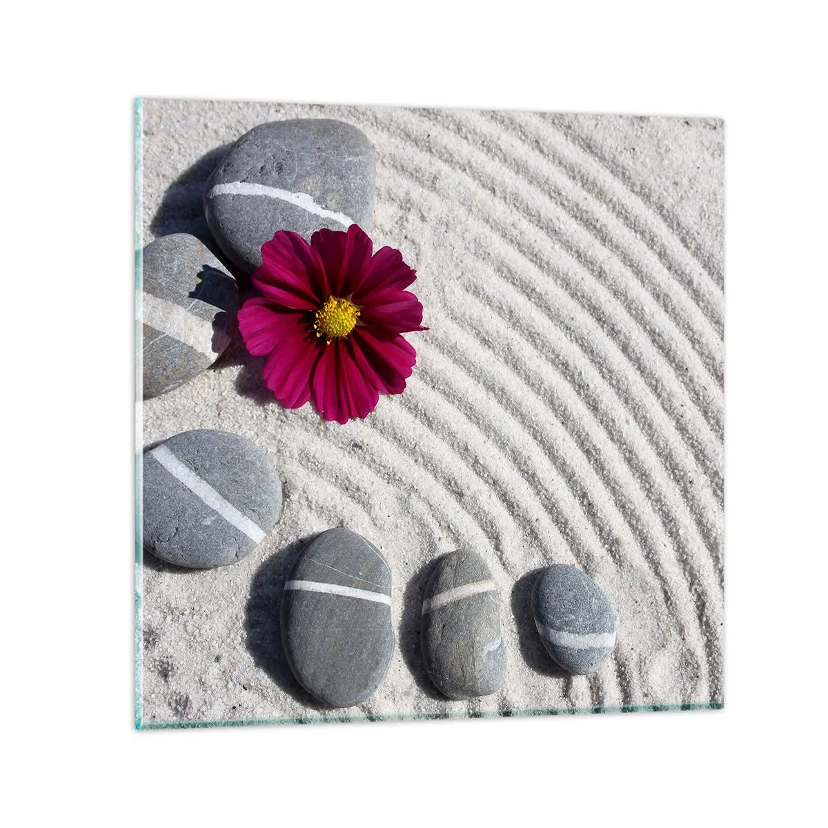 Glasbild - Bild auf glas - Energie und Ruhe des Zauberkreises der Natur - 40x40 cm