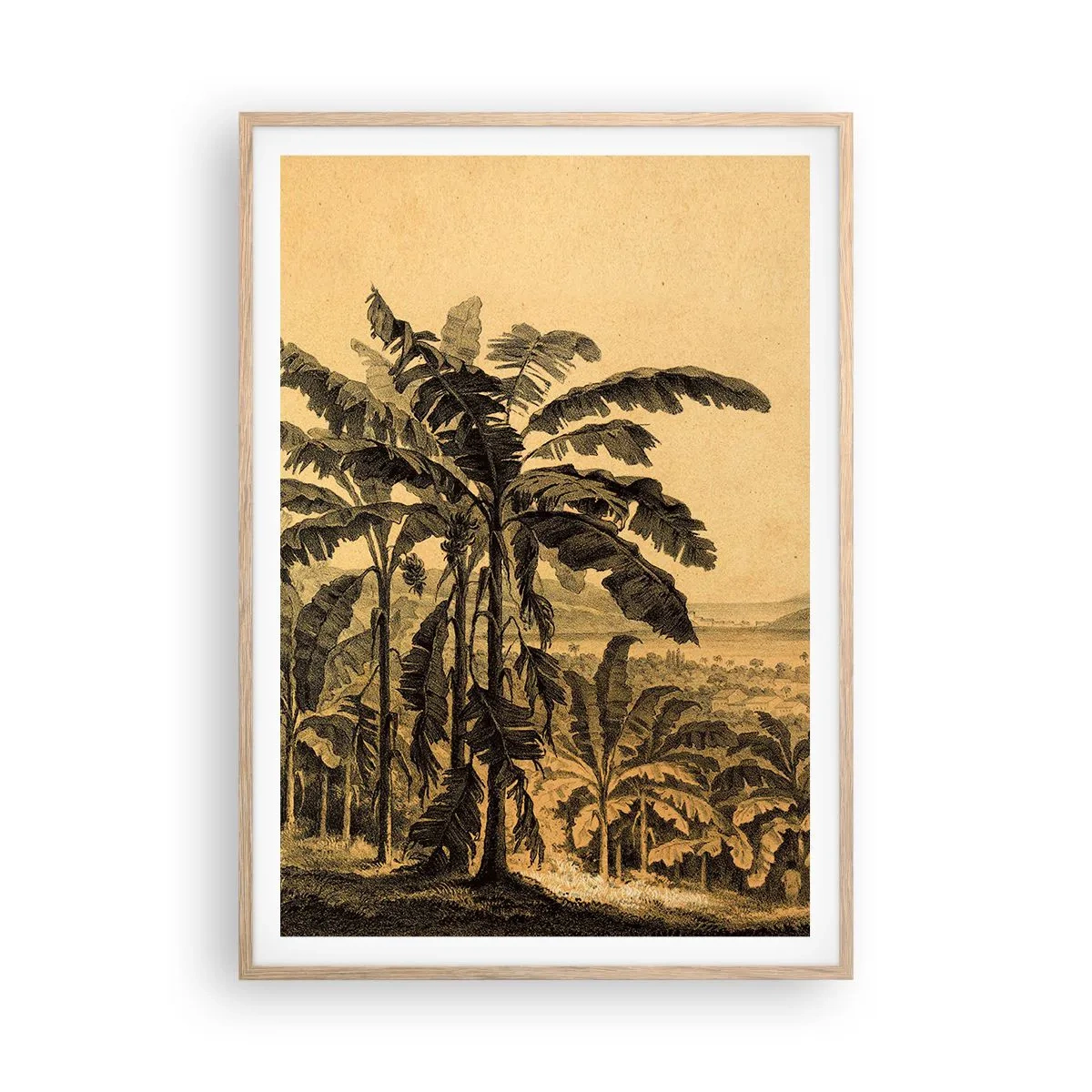 Poster in einem Rahmen aus heller Eiche - in einem kolonialen Klima - 70x100 cm