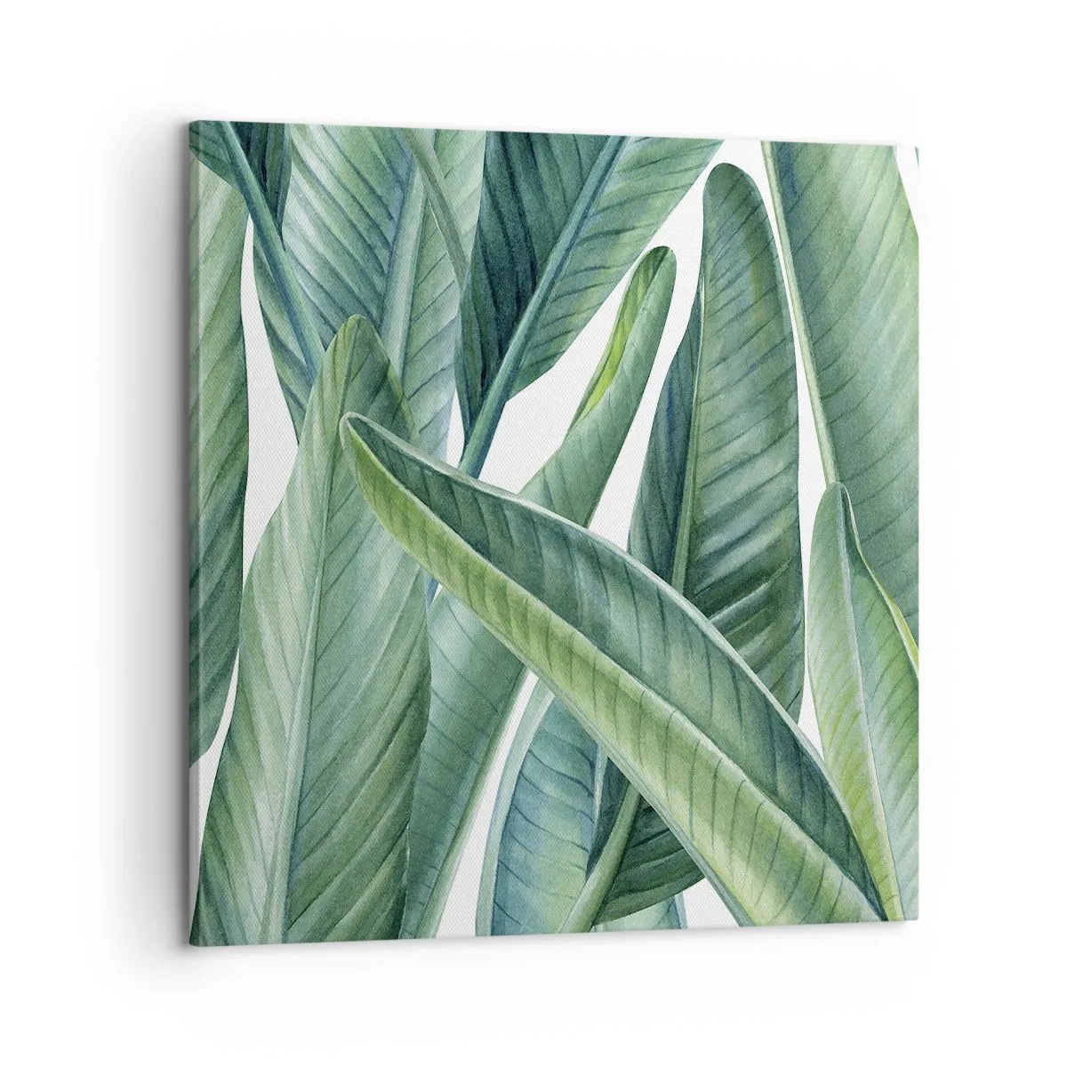 Bild auf Leinwand - Leinwandbild - An und für sich Grün - 60x60 cm