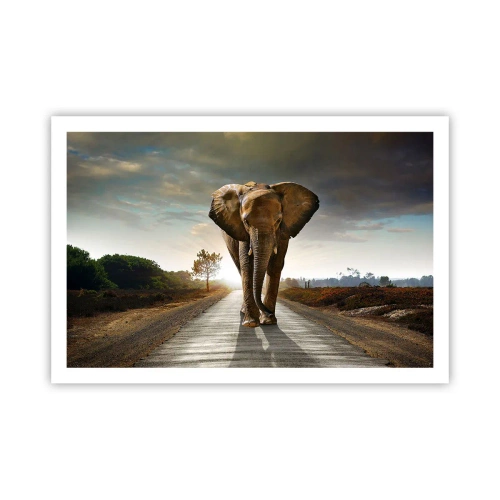 Poster - Und schon gar nicht in einem Porzellanlager - 91x61 cm