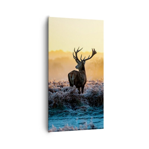 Bild auf Leinwand - Leinwandbild - Gekrönt auf seinem Besitz - 65x120 cm