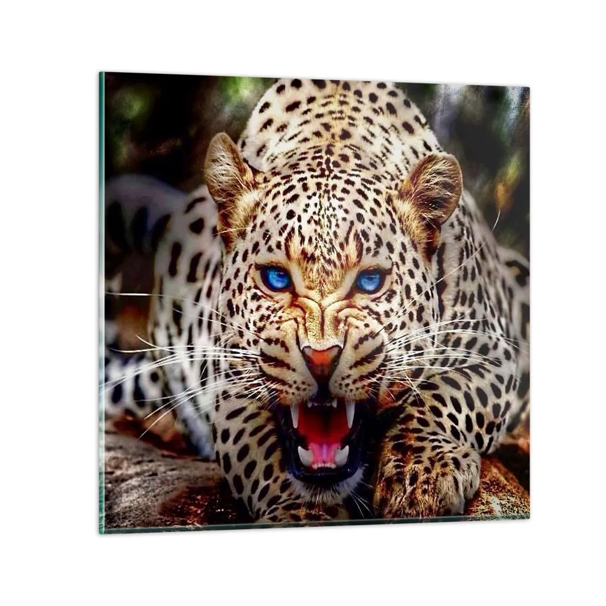 Glasbild - Bild auf glas - Schönheitswut tut nicht weh - 40x40 cm