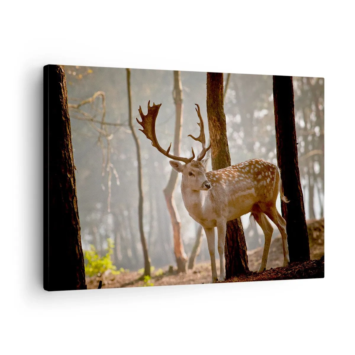 Bild auf Leinwand - Leinwandbild - Hirsche im Wald im Morgennebel - 70x50cm - Das Licht der Jugend - Moderne Wanddekoration für Wohnzimmer und Schlafzimmer ARTTOR