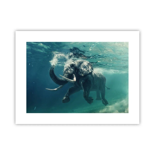 Poster - Jeder schwimmt gerne - 40x30 cm
