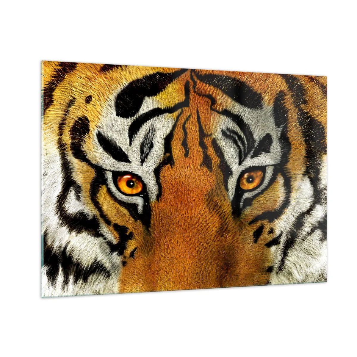 Glasbild - Bild auf glas - Nahaufnahme des intensiven Blicks des Tigers - 100x70cm - Schrecklich und schön - Moderne Wanddekoration für Wohnzimmer und Schlafzimmer ARTTOR