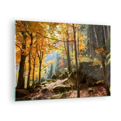 Glasbild - Bild auf glas - Herbstwald mit Sonnenstrahlen und Steinen - 70x50cm - Zeit zum Entspannen - Moderne Wanddekoration für Wohnzimmer und Schlafzimmer ARTTOR