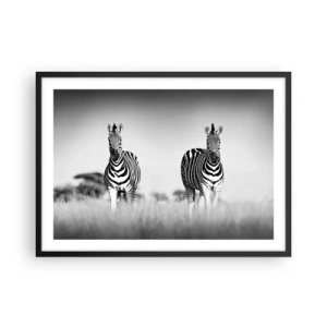 Poster in einem schwarzem Rahmen - Zwei Zebras in der Savanne im monochromen Stil - 70x50cm - Die Welt ist doch schwarz-weiß - Moderne Wanddekoration für Wohnzimmer und Schlafzimmer ARTTOR