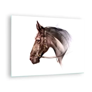Glasbild - Bild auf glas - Künstlerisches Pferdeporträt auf weißem Hintergrund - 70x50cm - Was für eine Gnade - Moderne Wanddekoration für Wohnzimmer und Schlafzimmer ARTTOR