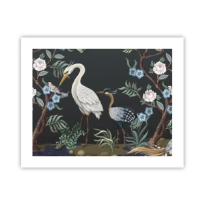 Poster - Vogelparade - 50x40 cm