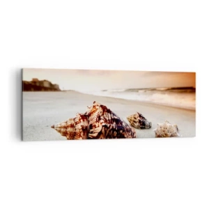 Bild auf Leinwand - Leinwandbild - Muscheln am Strand bei Sonnenuntergang - 140x50cm - Ausgestoßene von Wellen - Moderne Wanddekoration für Wohnzimmer und Schlafzimmer ARTTOR