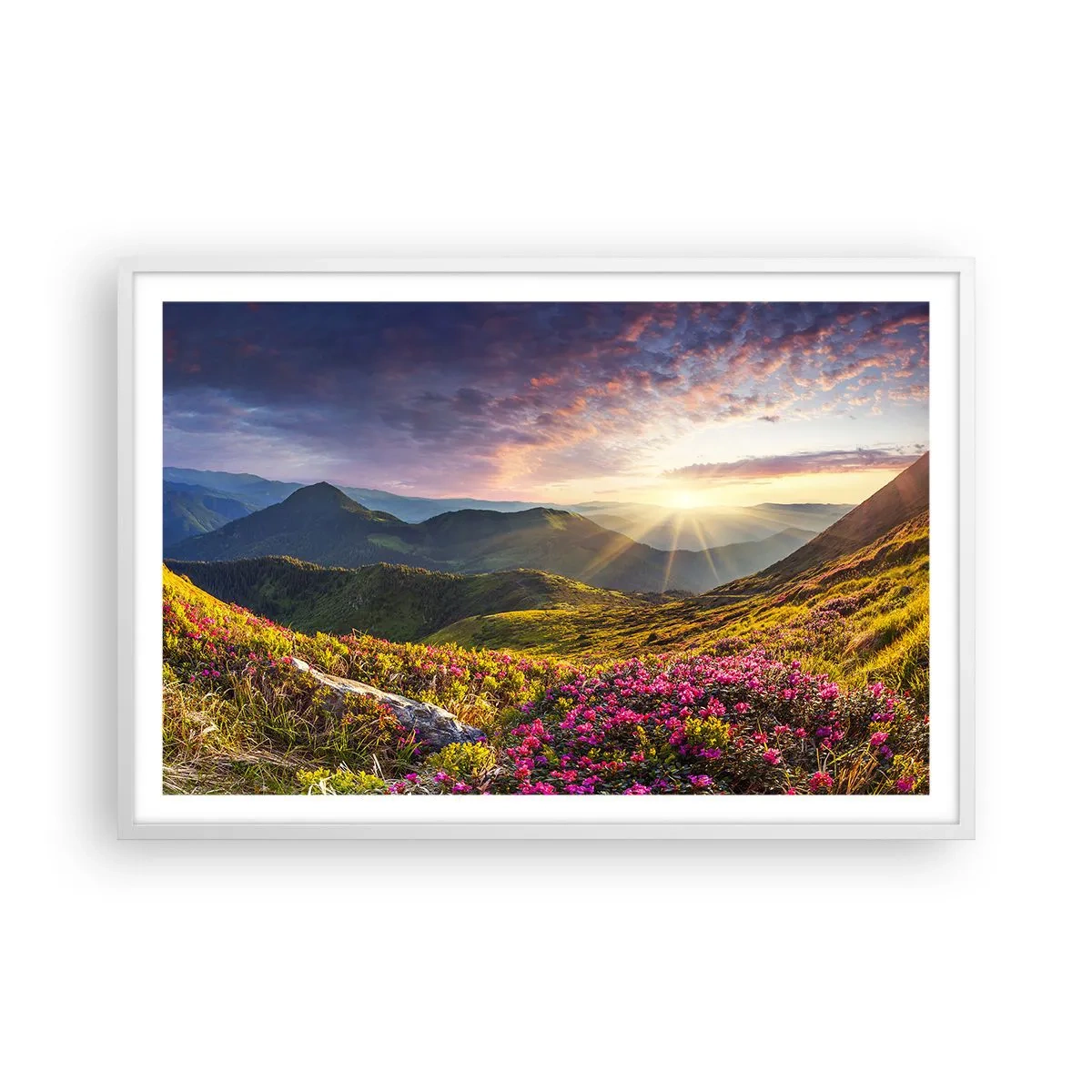 Poster in einem weißen Rahmen - Frische am Bergmorgen - 91x61 cm