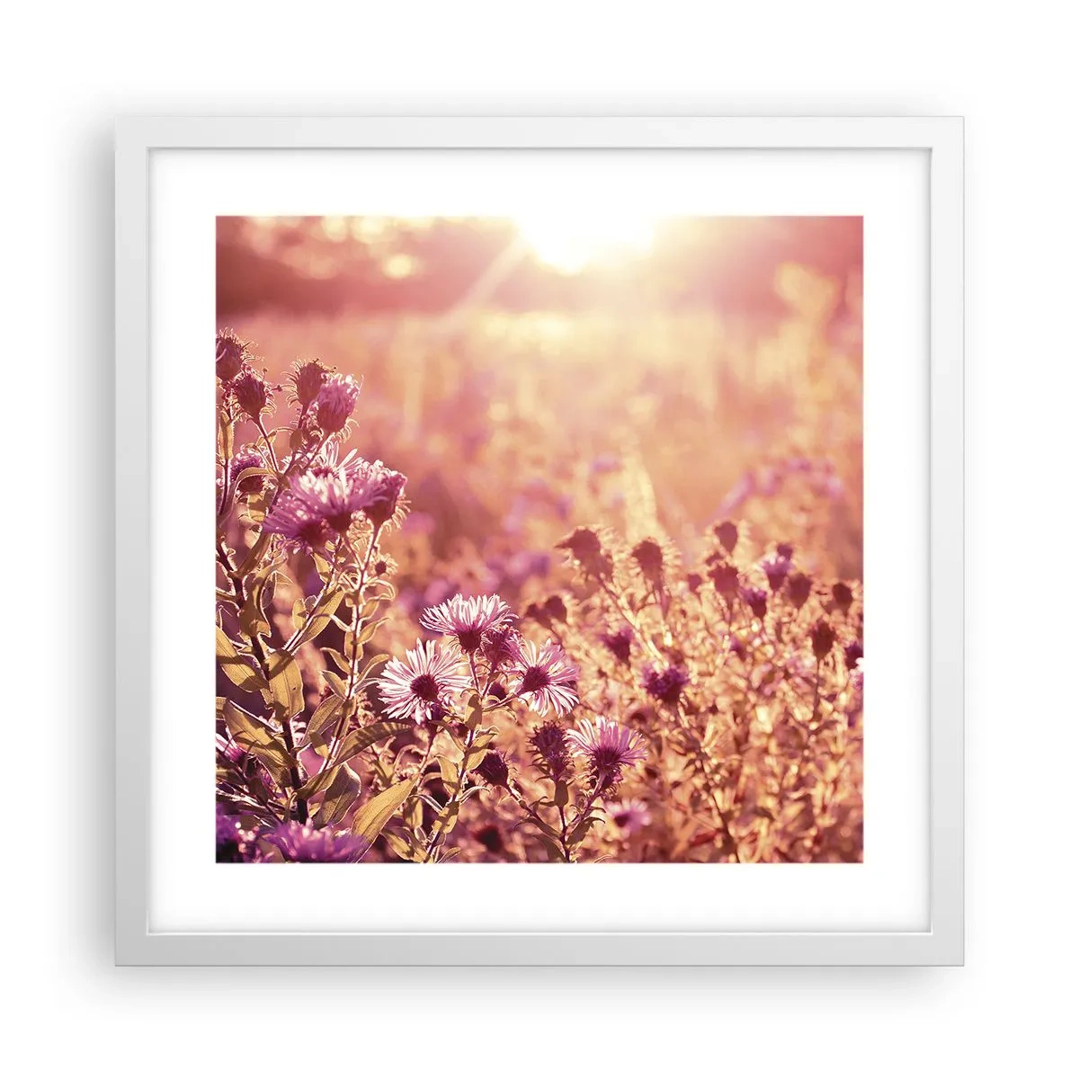 Poster in einem weißen Rahmen - Bevor der Sommer vorbei ist - 40x40 cm