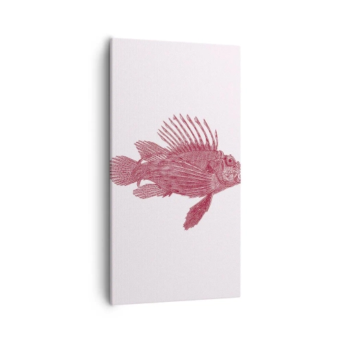 Bild auf Leinwand - Leinwandbild - Bewohner exotischer Gewässer - 55x100 cm