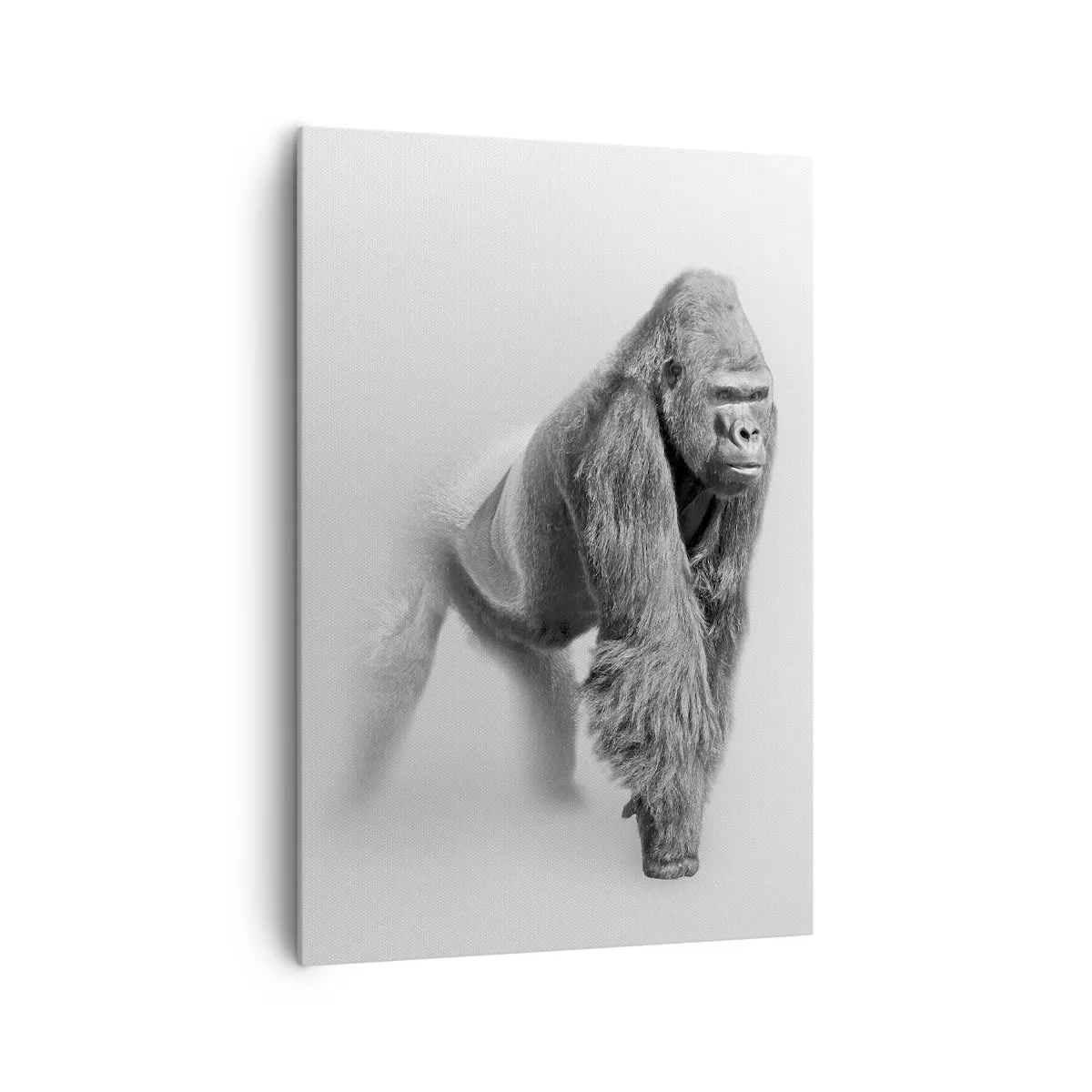 Bild auf Leinwand - Leinwandbild - Gorilla in monochromen Tönen auf weißem Hintergrund - 70x100cm - Zuversichtlich in seiner Stärke - Moderne Wanddekoration für Wohnzimmer und Schlafzimmer ARTTOR