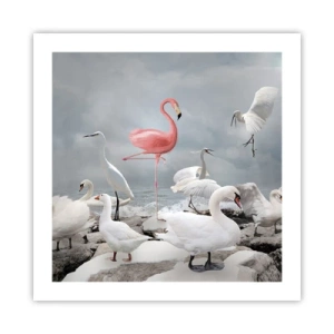 Poster - Wie kam ich hier hin? - 50x50 cm