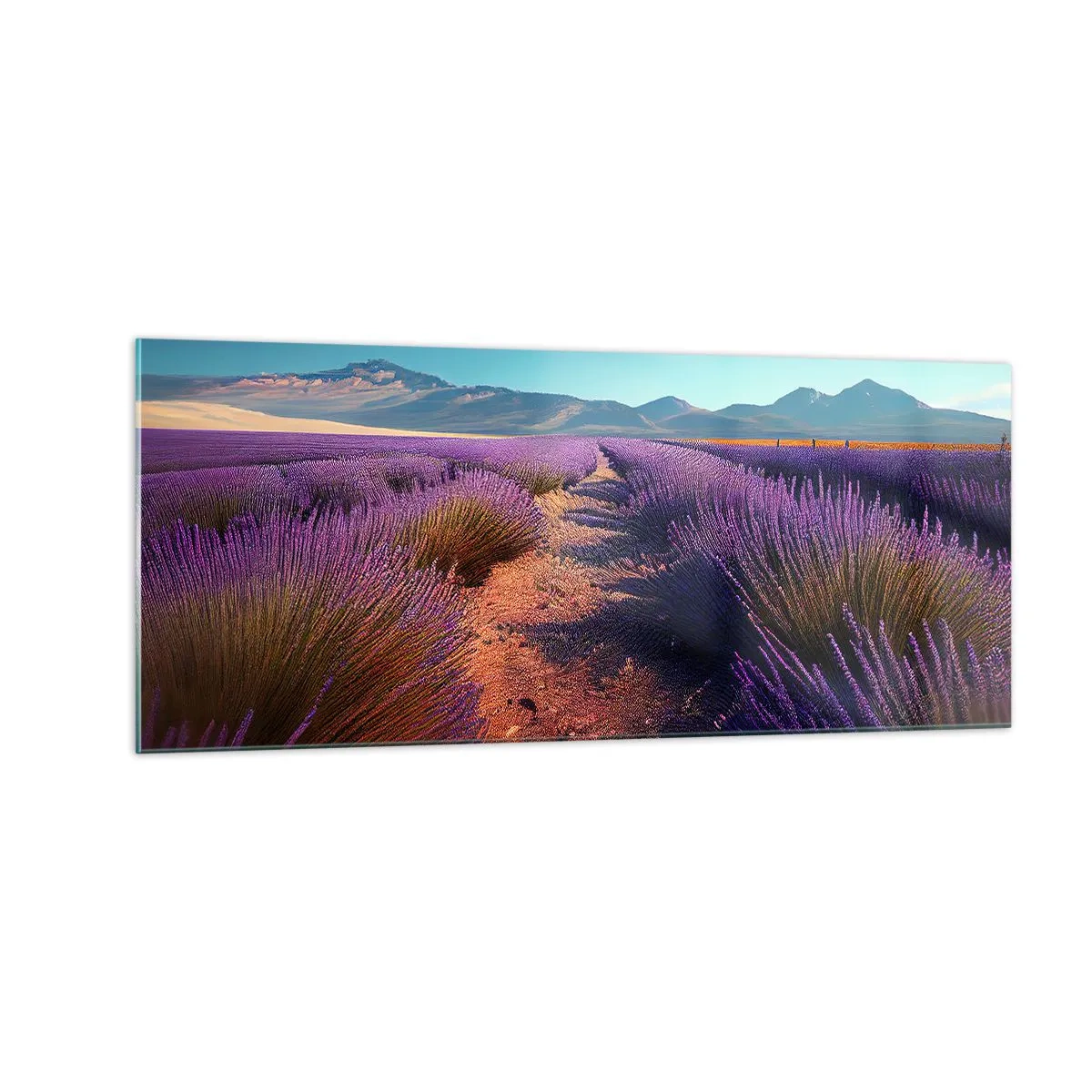 Glasbild - Bild auf glas - Duftende Felder - 100x40 cm