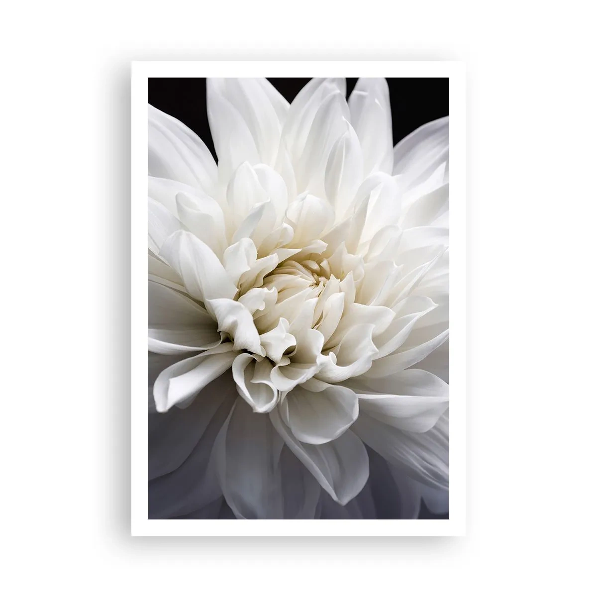 Poster - Der Morgen der Braut - 70x100 cm