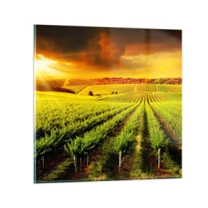 Glasbild - Bild auf glas - Unter der australischen Sonne - 60x60 cm