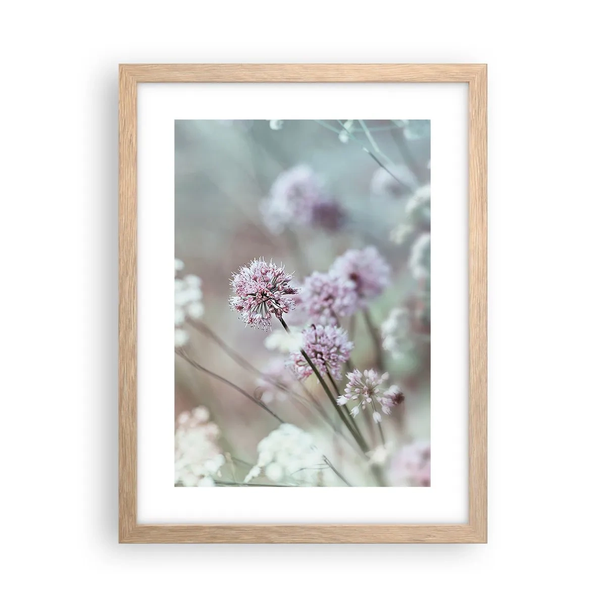 Poster in einem Rahmen aus heller Eiche - Süße filigrane Kräuter - 30x40 cm