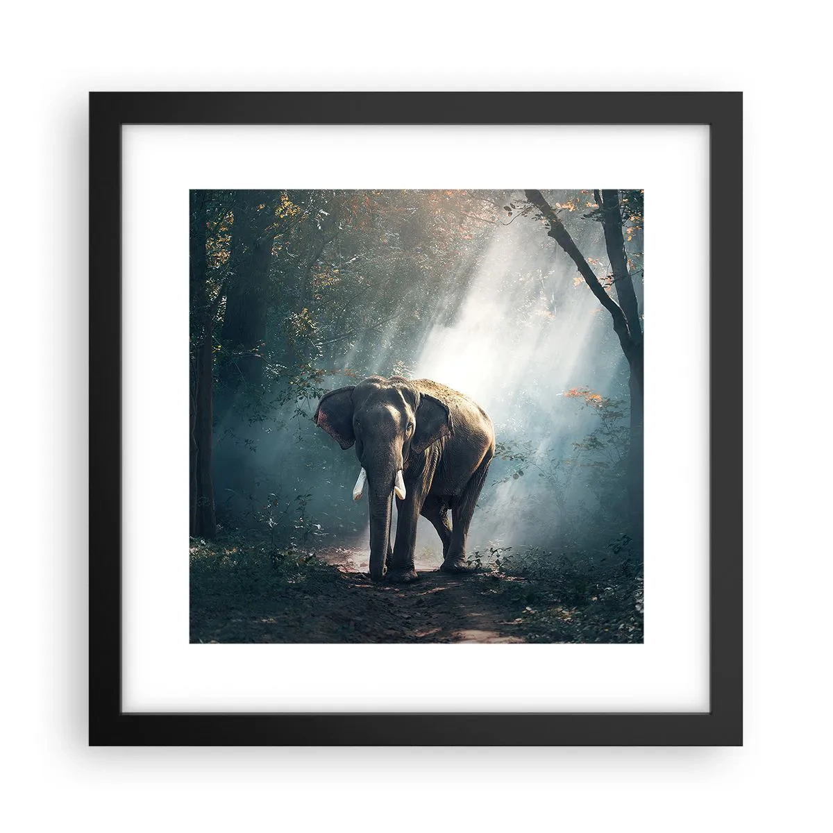 Poster in einem schwarzem Rahmen - Ein gemütlicher Spaziergang - 30x30 cm