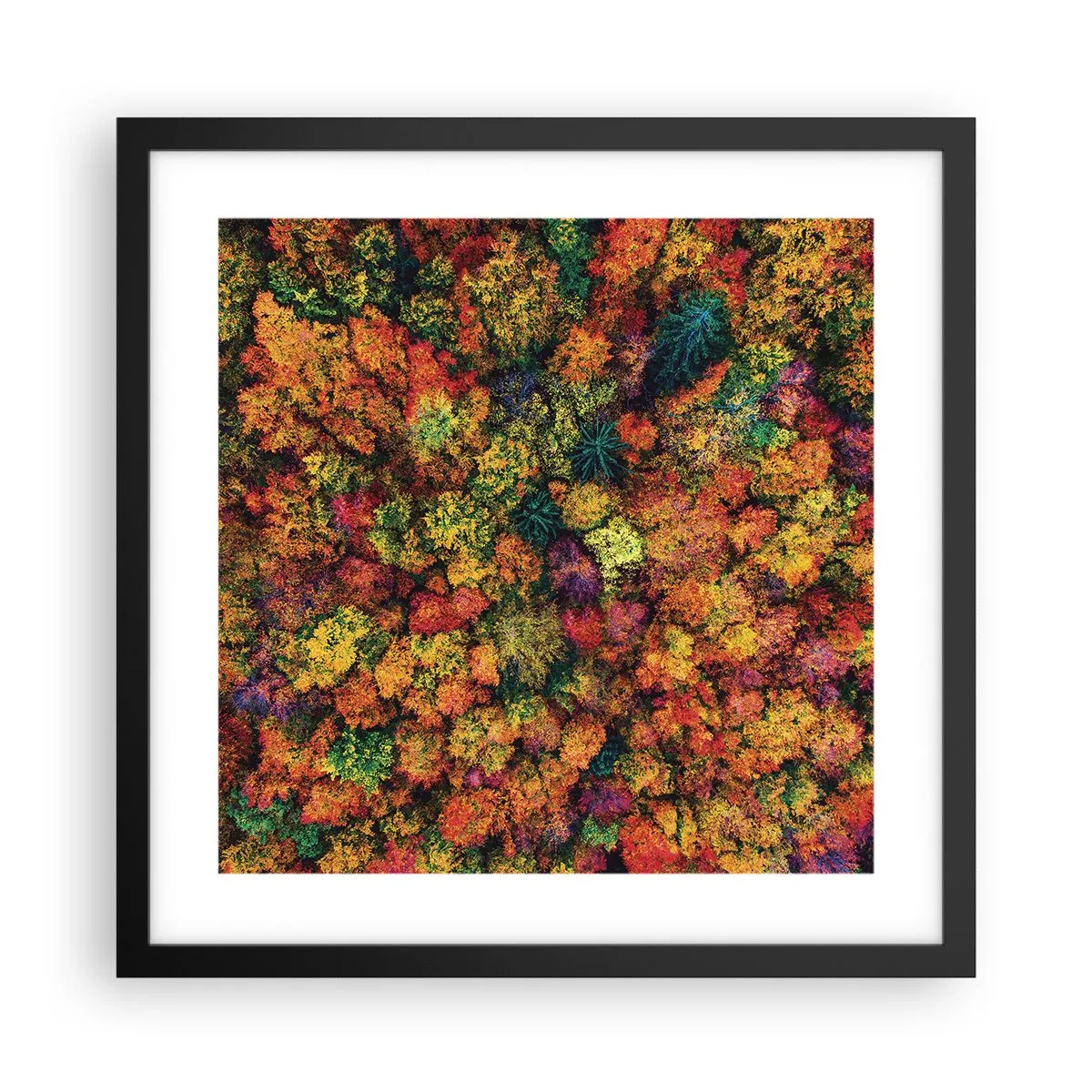 Poster in einem schwarzem Rahmen - Blumenstrauß aus Herbstbäumen - 40x40 cm