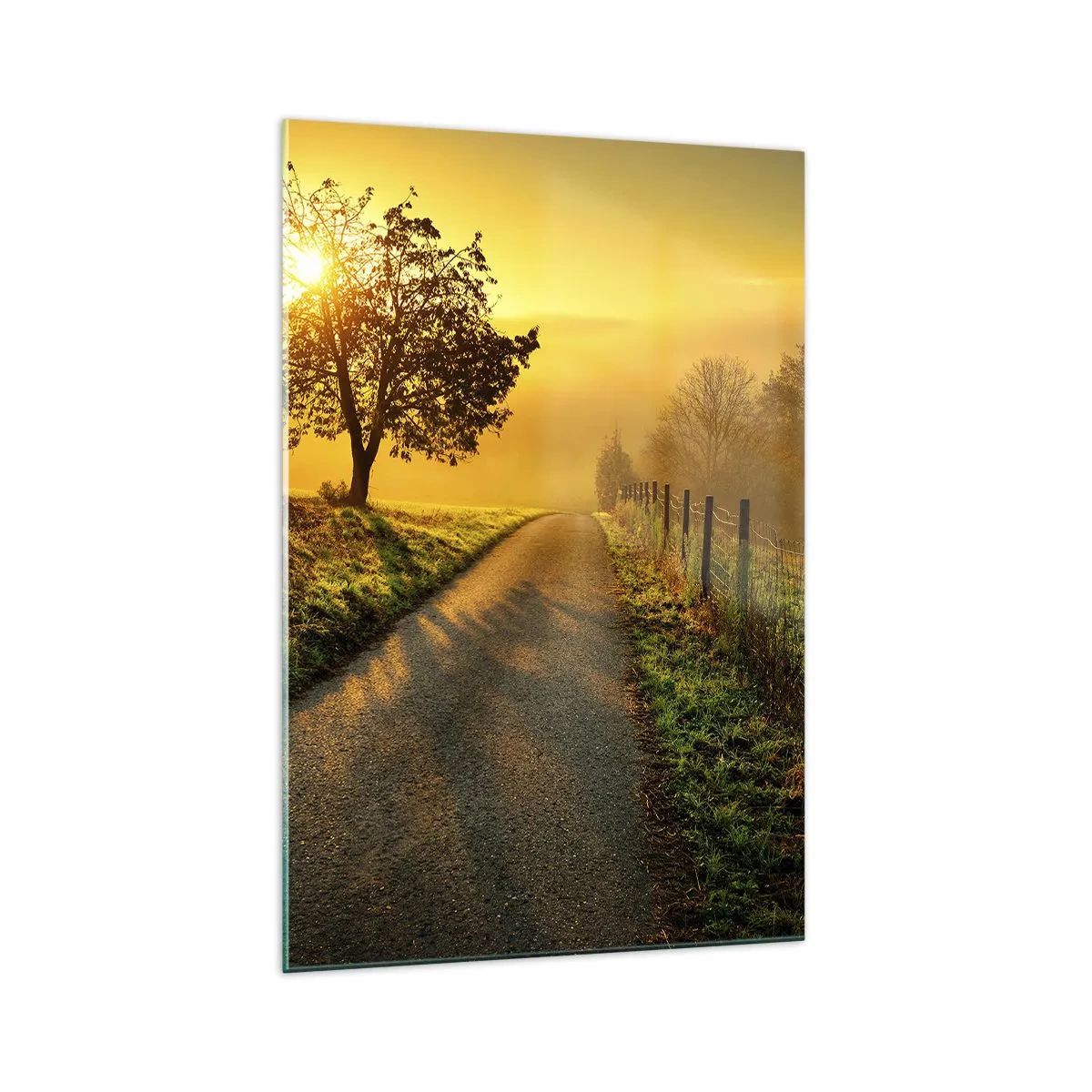 Glasbild - Bild auf glas - Eine malerische Straße bei Sonnenuntergang mit einem einsamen Baum im Hintergrund - 70x100cm - Honig-Nachmittag - Moderne Wanddekoration für Wohnzimmer und Schlafzimmer ARTTOR