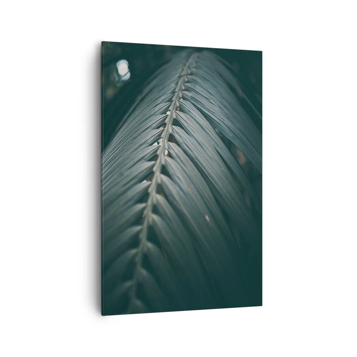 Bild auf Leinwand - Leinwandbild - Nahaufnahme eines dunkel getönten Palmblattdetails - 80x120cm - Die Präzision der Natur - Moderne Wanddekoration für Wohnzimmer und Schlafzimmer ARTTOR