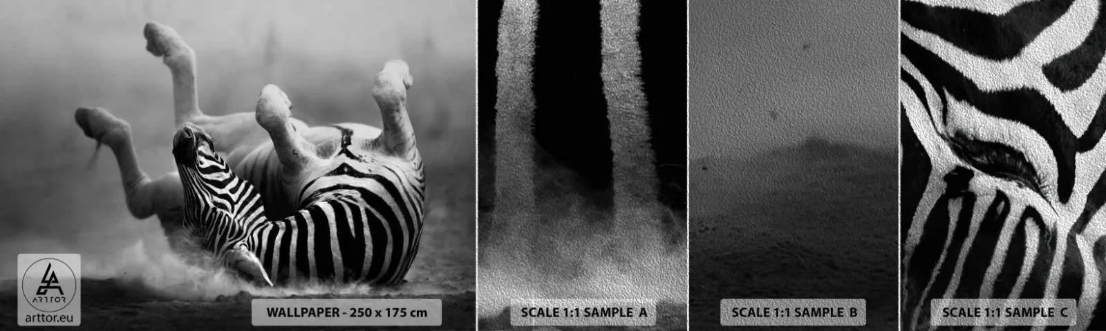 Fototapeten Muster Premium Sand - Nicht nur das Pferd würde lachen - Tiere, Rippen, Natur - 100x30 cm