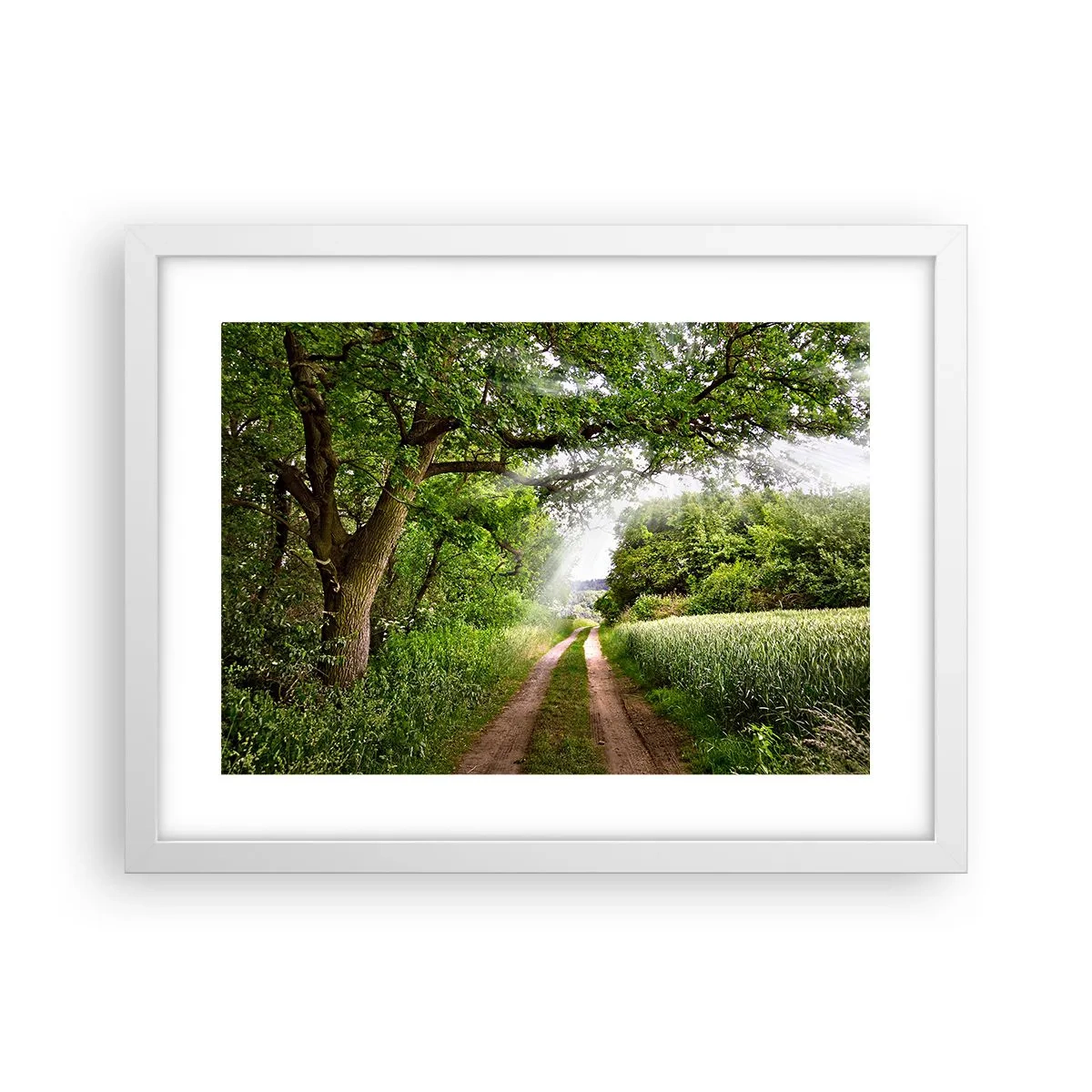 Poster in einem weißen Rahmen - Et in Arcadia ego - 40x30 cm