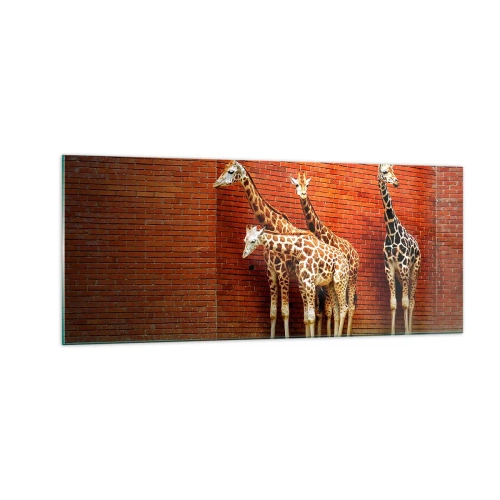 Glasbild - Bild auf glas - Sehen Sie Akazien? - 100x40 cm