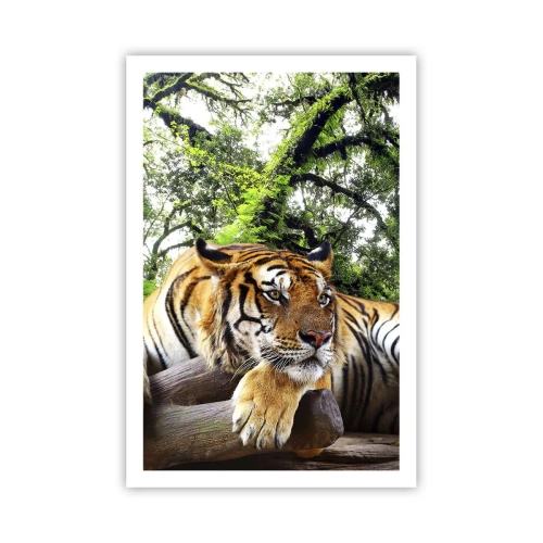 Poster - Hochachtungsvoll - 61x91 cm