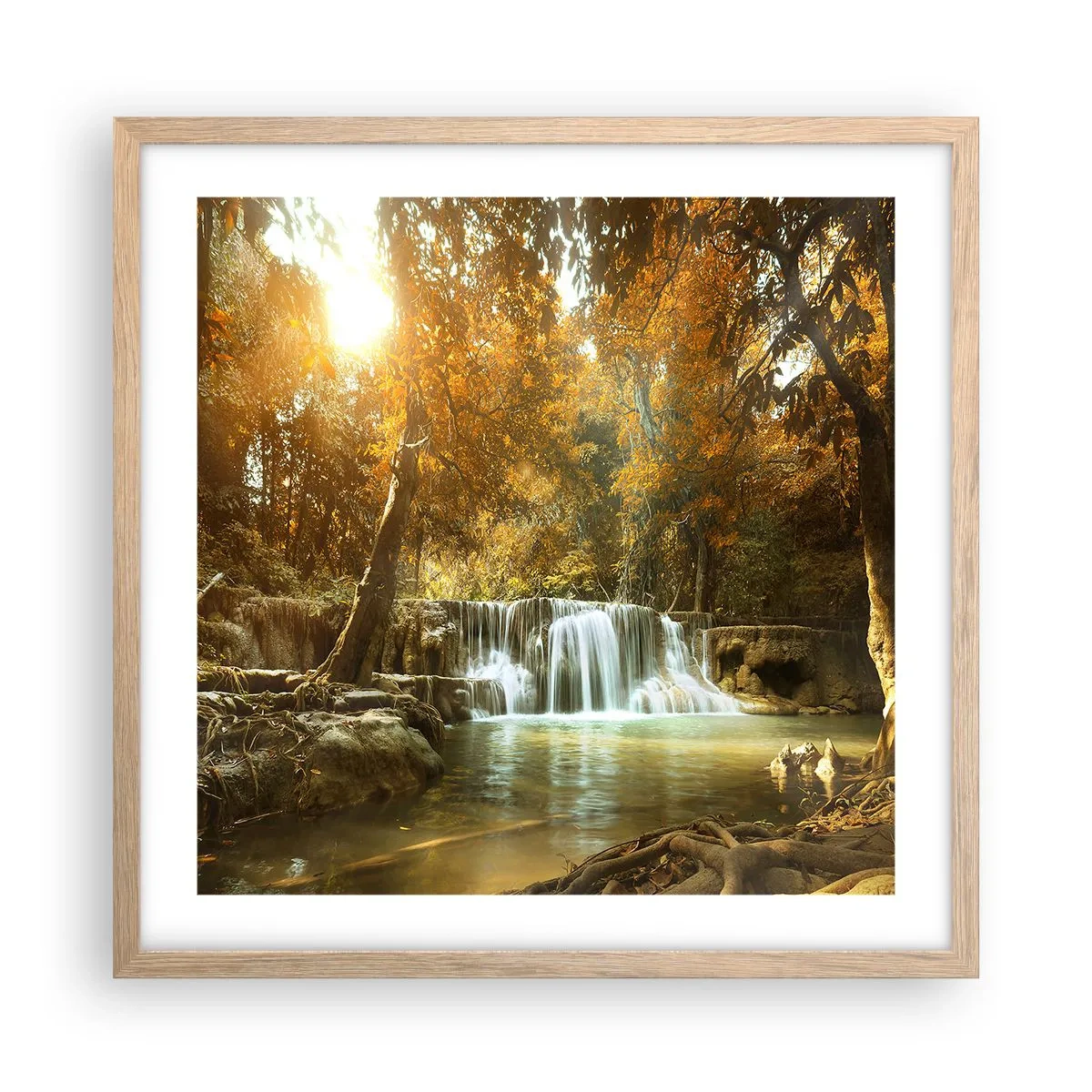 Poster in einem Rahmen aus heller Eiche - Parkkaskade - 50x50 cm