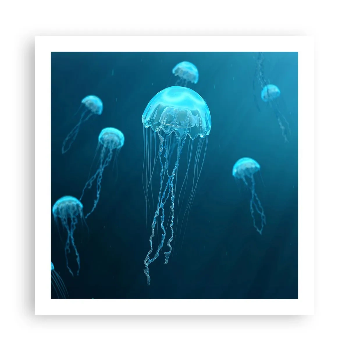 Poster - Ozeantanz - 60x60 cm