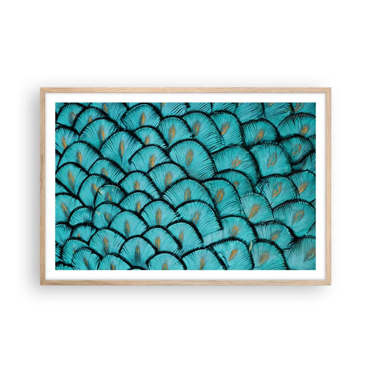 Poster in einem Rahmen aus heller Eiche - Große Federgala - 91x61 cm