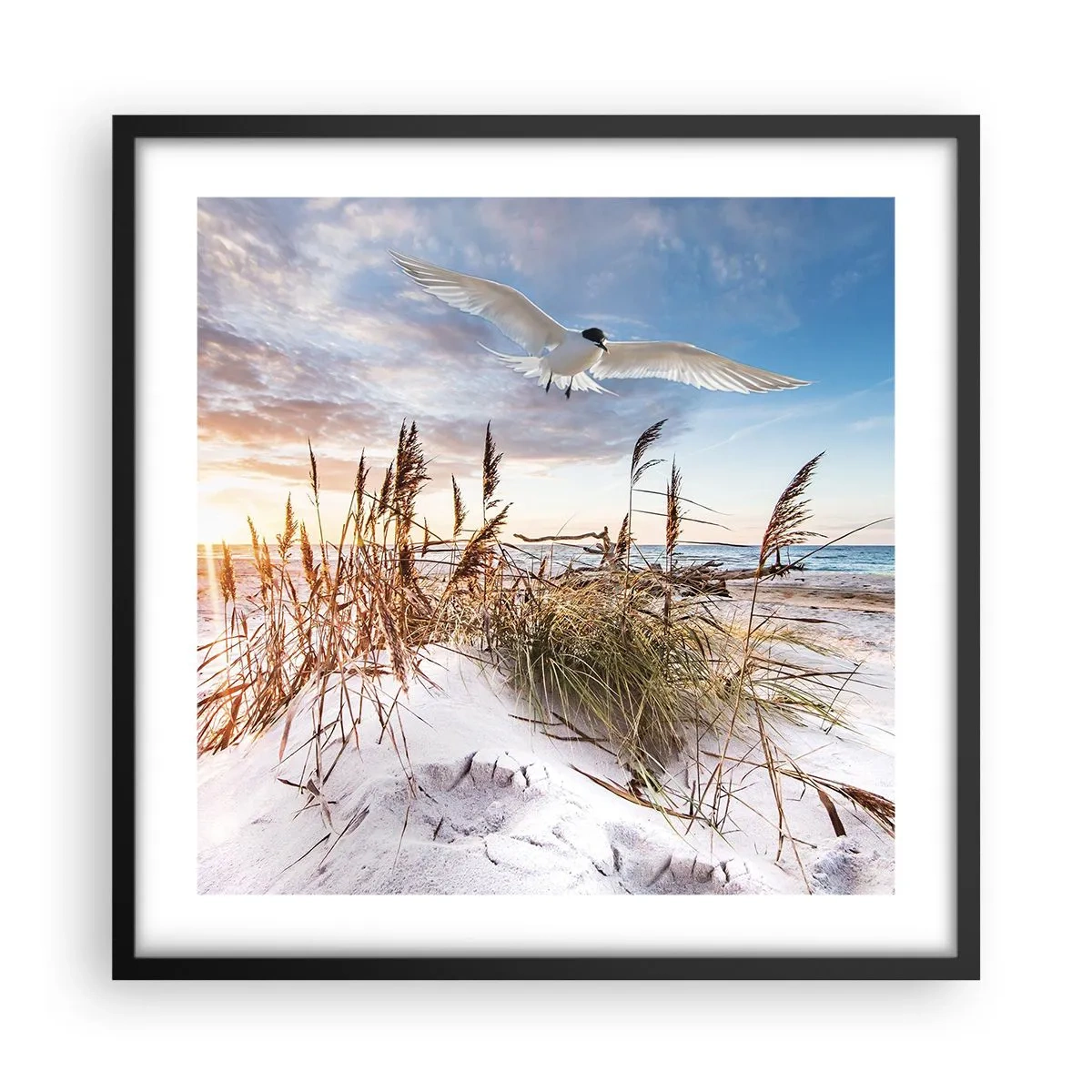 Poster in einem schwarzem Rahmen - Wind vom Meer - 50x50 cm