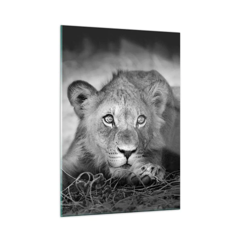 Glasbild - Bild auf glas - Ein Löwenjunges in Schwarz und Weiß starrt in die Kamera - 50x70cm - Königlicher Welpe - Moderne Wanddekoration für Wohnzimmer und Schlafzimmer ARTTOR