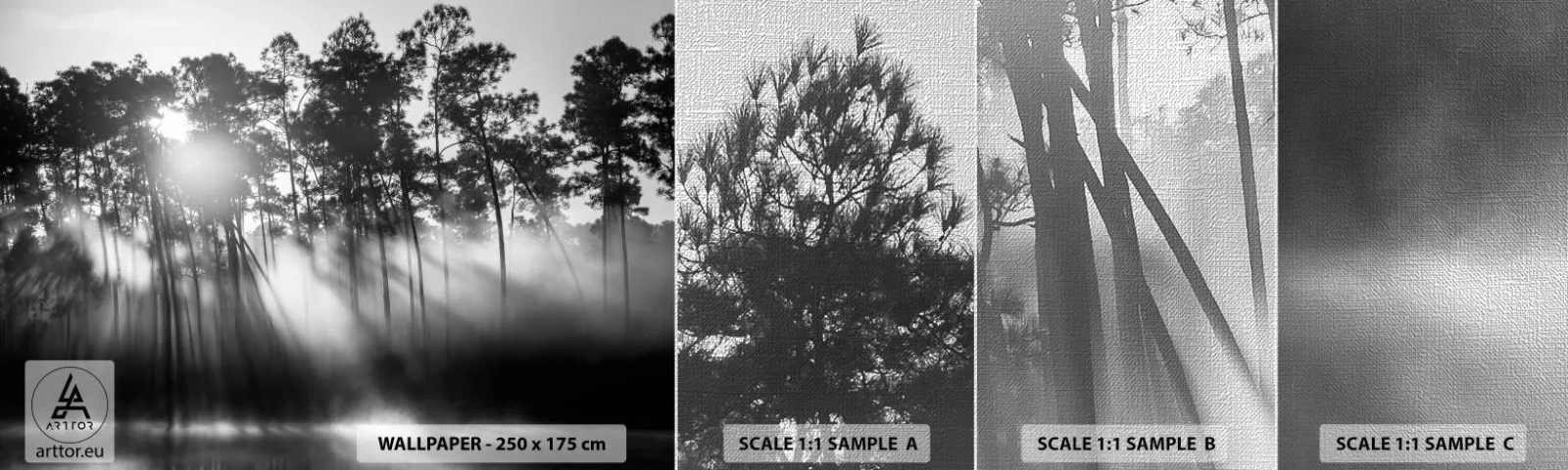 Fototapeten Muster Premium Canvas - Unaufhaltsame Sonne - Landschaft, Wald, Natur - 100x30 cm