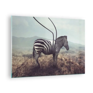 Glasbild - Bild auf glas - Zebra auf Grashintergrund mit surrealen Antennendetails - 70x50cm - Achtung! Fehler - Moderne Wanddekoration für Wohnzimmer und Schlafzimmer ARTTOR