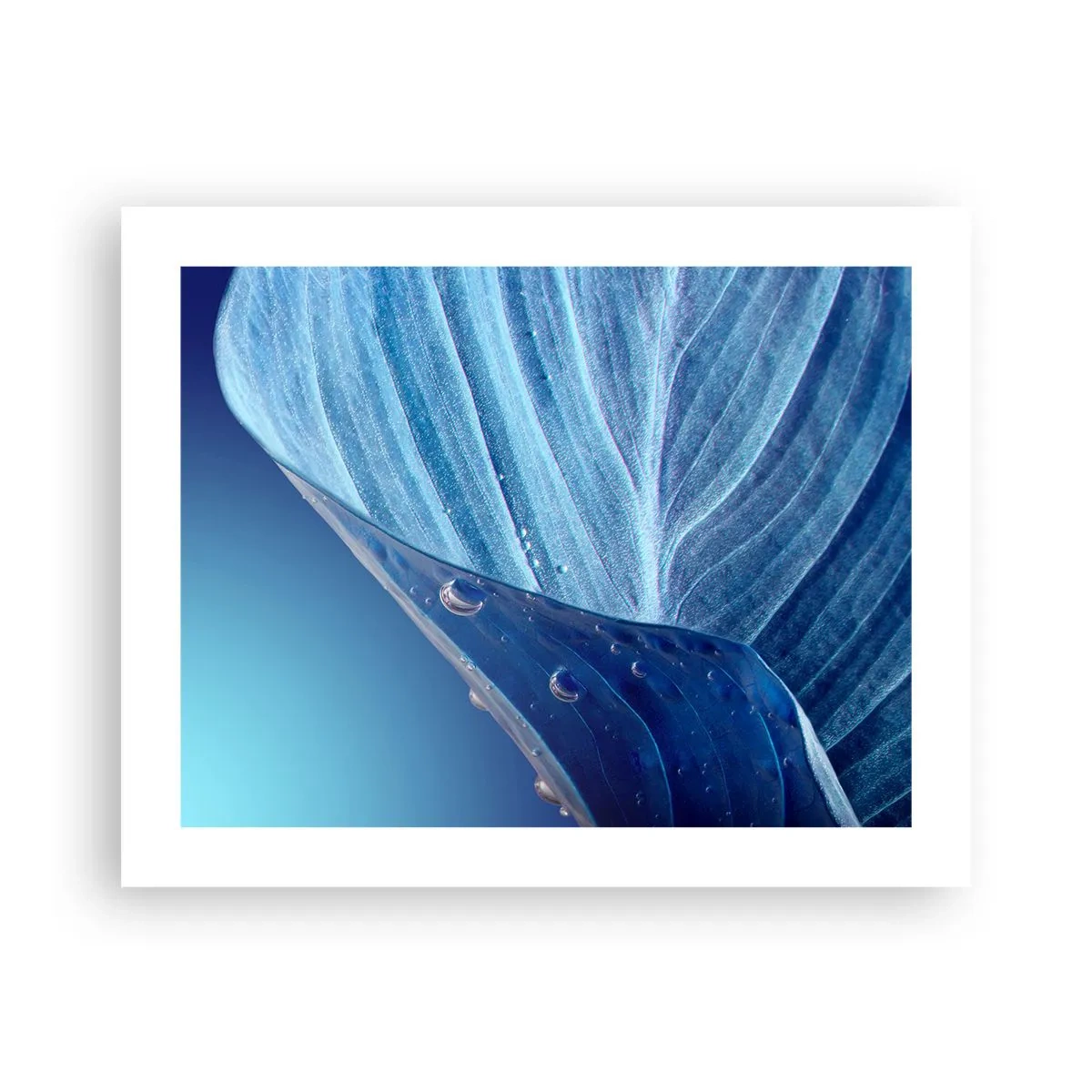 Poster - Versteckte Tropfen vom Blau - 50x40 cm