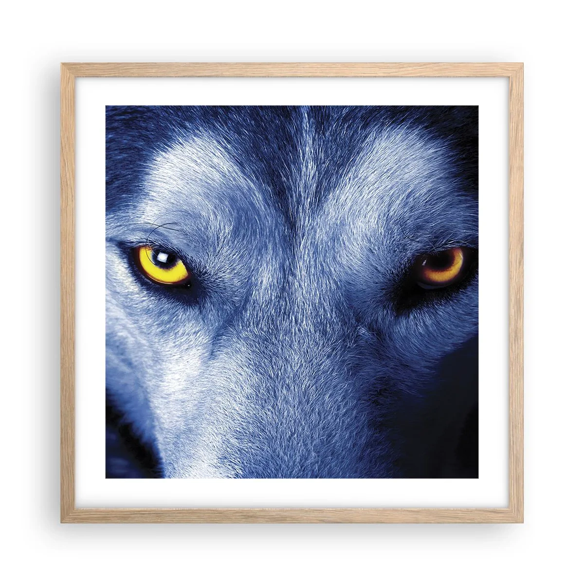 Poster in einem Rahmen aus heller Eiche - Faszinierender Blick - 50x50 cm