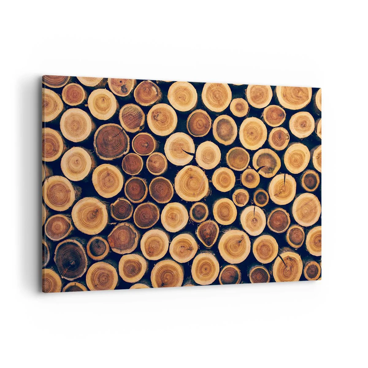 Bild auf Leinwand - Leinwandbild - Muster aus Querschnitten von Holzstämmen - 100x70cm - Wie alt sehe ich aus? - Moderne Wanddekoration für Wohnzimmer und Schlafzimmer ARTTOR