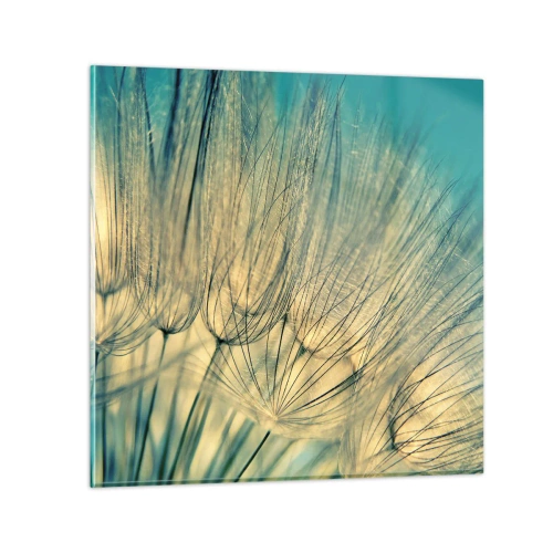 Glasbild - Bild auf glas - In Erwartung des Windes - 40x40 cm