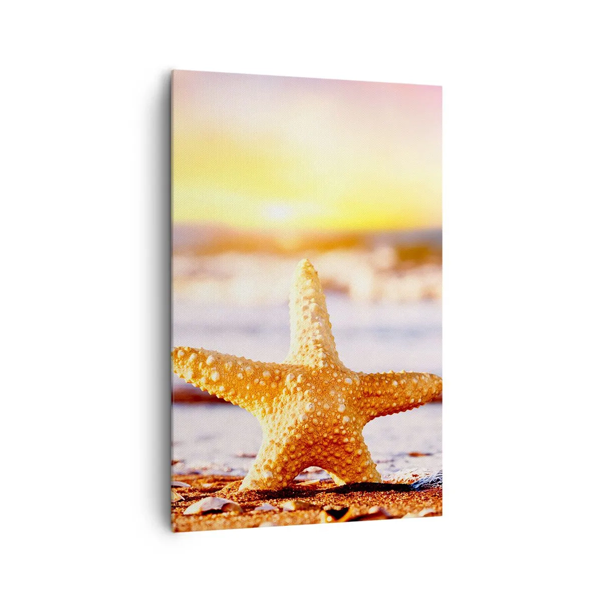 Bild auf Leinwand - Leinwandbild - Ein Seestern an einem Sandstrand im Schein der untergehenden Sonne - 80x120cm - Meer Geschenk - Moderne Wanddekoration für Wohnzimmer und Schlafzimmer ARTTOR