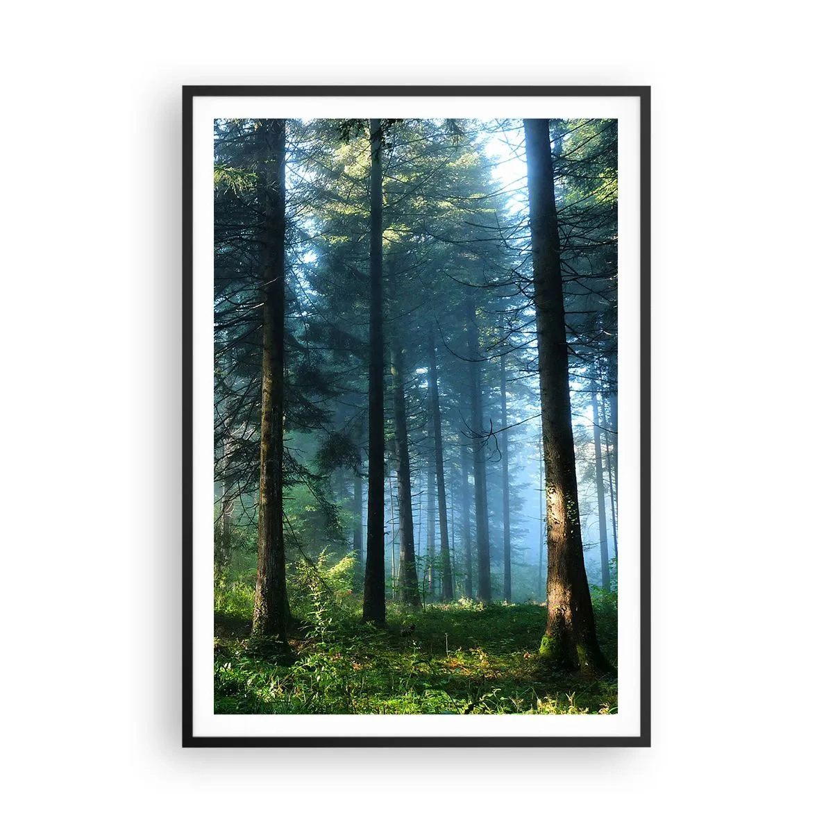 Poster in einem schwarzem Rahmen - Strahlend am Morgen - 70x100 cm