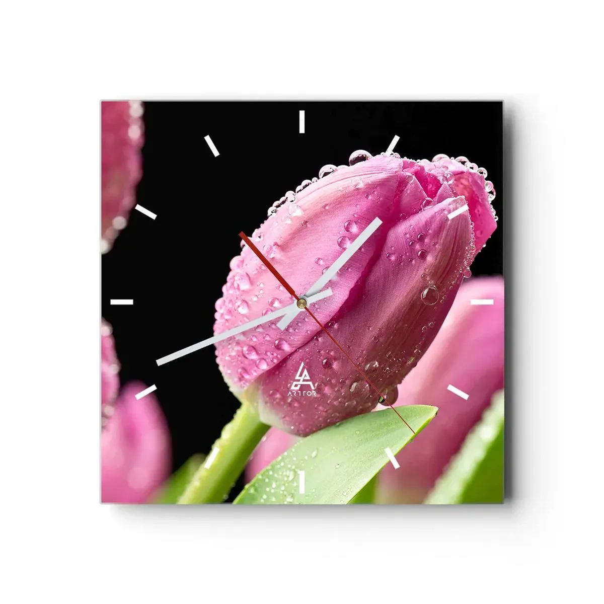 Wanduhr - Glasuhr - Rosa Tulpe mit Wassertropfen auf schwarzem Hintergrund - 30x30cm - Lila Traum im Tau - Moderne Wanddekoration für Wohnzimmer und Schlafzimmer ARTTOR