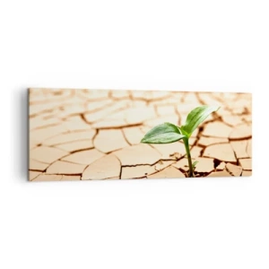 Bild auf Leinwand - Leinwandbild - Eine grüne Pflanze wächst aus trockener, rissiger Erde - 140x50cm - Die unbezähmbare Kraft des Lebens - Moderne Wanddekoration für Wohnzimmer und Schlafzimmer ARTTOR