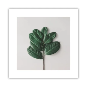 Poster - Eine Zeichnung purer Natur - 30x30 cm