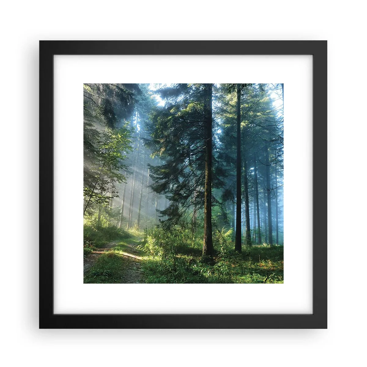 Poster in einem schwarzem Rahmen - Strahlend am Morgen - 30x30 cm