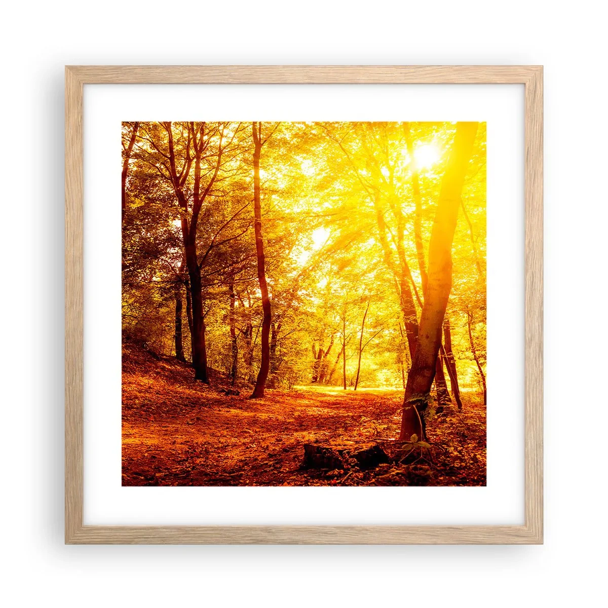 Poster in einem Rahmen aus heller Eiche - Auf die goldene Lichtung - 40x40 cm